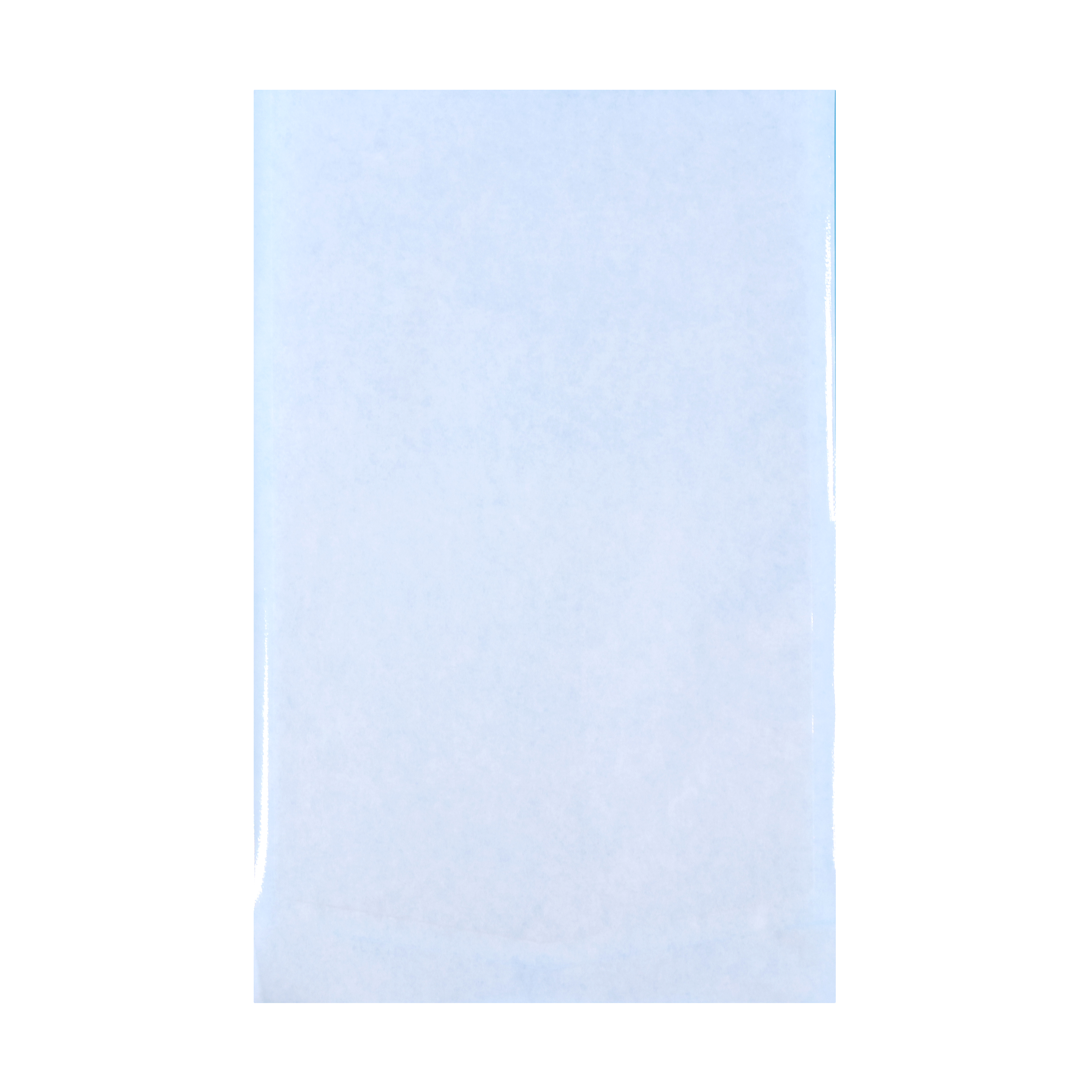 Tyvek Paper Pouch
